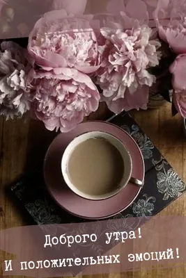 Pin em Good morning motivation coffee instagram story