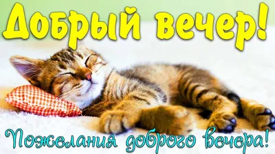 Добрый вечер! Пожелания доброго, уютного вечера и хорошего настроения!  Красивая открытка! - YouTube