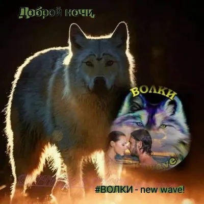 Руслан Добрый (Ruslan Dobryy) – Волки (Wolves) Lyrics | Genius Lyrics