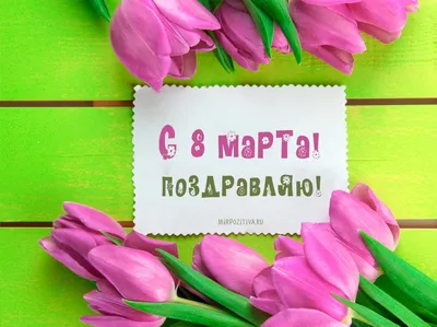Бенто торт на 8 марта дочке заказать по цене 1500 руб. | Интернет-магазин  Bentoy Пенза