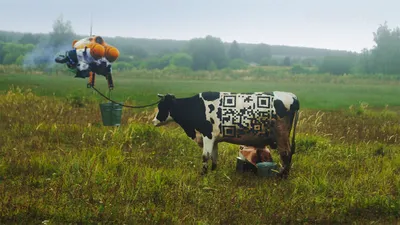 Осень. Дойка коровы» картина Малых Евгения маслом на холсте — купить на  ArtNow.ru