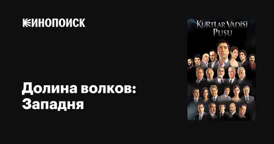 Teammy_News 💫54-летний актер Шекип Ташпынар, известный по сериалам \"Долина  волков\", \"Бехзат Ч\" и \"Карадаи\".. | ВКонтакте