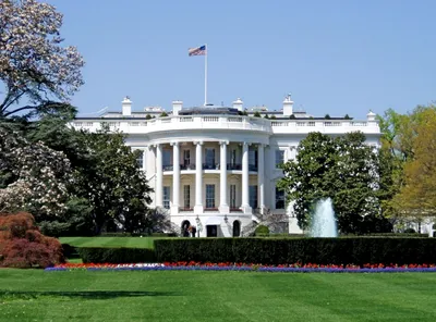 Белый дом — Википедия