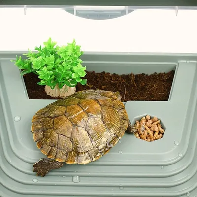 Набор для обустройства террариума сухопутной черепахи [домик, камни,  гигрометр, термометр] | TurtlesLand