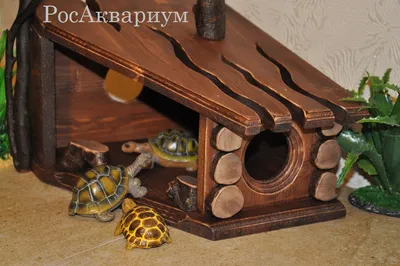 Woodeco27 - Домик для черепахи, изготовлен из хвойного... | Facebook