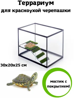 Домик деревянный для черепах ECO 22*17*12см - купить с доставкой по  выгодным ценам в интернет-магазине OZON (808468733)