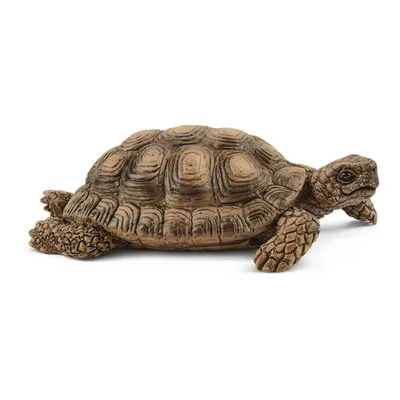 Фламинго Черепаха домик для кошек и собак (Flamingo Turtle Green)