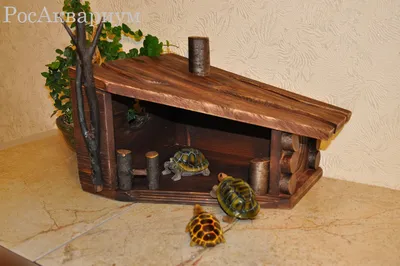 Домик для черепахи \"Turtle Home 1B \" PetStandArt. Размер 14,5x15,5х25,  Материал: дерево - купить с доставкой по выгодным ценам в интернет-магазине  OZON (1064851748)