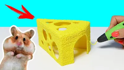 НОВЫЙ ДОМ ДЛЯ ХОМЯКА 🐹 DIY | РИСУЮ ЛЕДЯНОЙ ДОМ ДЛЯ ХОМЯКА 3D РУЧКОЙ -  YouTube