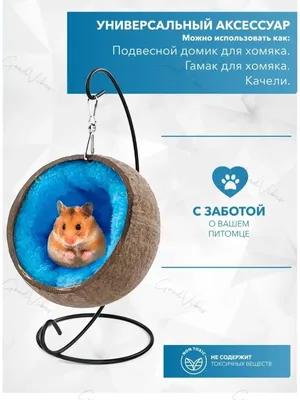 ЛАБИРИНТ ИЗ КАРТОНА ДЛЯ ХОМЯКА 🐹 DIY | СДЕЛАЛА ОГРОМНЫЙ ЛАБИРИНТ ДОМА СВОИМИ  РУКАМИ - YouTube