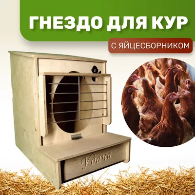 59 дюймов, деревянная курятник, куриный домик, клетка для домашней птицы на  улице, задний двор с 2 дверцами, гнездовой ящик и съемный поднос,  натуральный | AliExpress