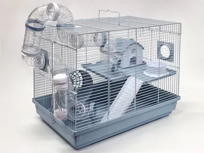 Многоэтажная клетка для хомяков и мышей Ferplast MULTIPLA HAMSTER CRYSTAL с  аксессуарами (57007617) купить