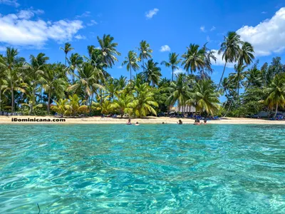 Доминикана 2022: отели, правила отдыха, реальные фото