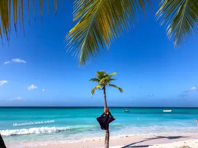 Время в Доминикане: все, что нужно знать туристу - iDominicana.com