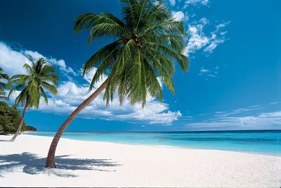 Фото пляжей и отелей Доминиканы: топ-10 потрясающих мест для отдыха на Гаити