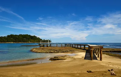 Доминикана: реальные фото пляжей, отелей, туристов