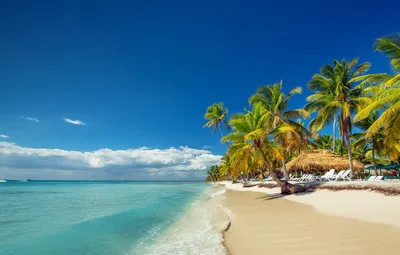 Обои песок, море, пляж, пальмы, Доминикана картинки на рабочий стол, раздел  пейзажи - скачать