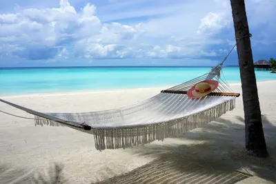 Мальдивы или Доминикана. Где лучше отдыхать и почему? - Republica.pro