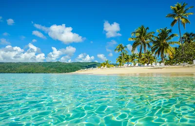 Курорты Доминиканы 🌞: как развлечься туристам 🛫