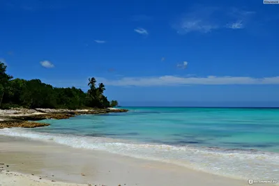 Доминиканская республика (Доминикана) - «Доминикана - место, где реальность  переплетается с мечтой. Я покажу вам Рай и опишу, какой он на вкус! +  полезные советы к перелету и отдыху. » | отзывы