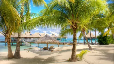 Райская Доминикана на Новый Год и на январь🎄 » Сайт туристической фирмы  А-тур