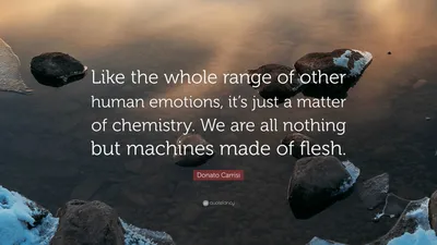 Донато Карризи цитата: «Как и весь спектр других человеческих эмоций, это всего лишь вопрос химии. Мы все не что иное, как машины, сделанные из...»