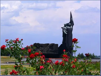 донецк город миллиона роз. | Мир фотографии. | Дзен