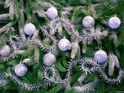 Серебряные шары и дождик на елке: новогодние обои, картинки, фото 1600x1200