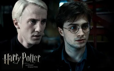 Том Фелтон подтвердил, что Гарри Поттер всегда был влюблен в Драко Малфоя