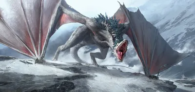 Белый дракон | Ведьмак Вики | Fandom