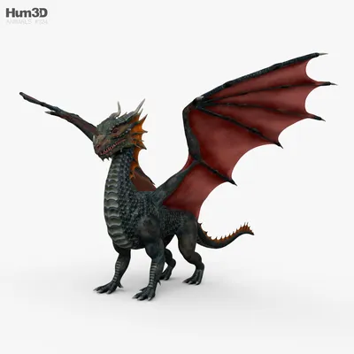 Европейский дракон 3D модель - Животные на Hum3D