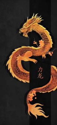 ОБОИ НА ТЕЛЕФОН ДРАКОН | Самурайское искусство, Художественные иллюстрации,  Рисунки драконов