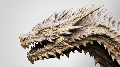 Голова дракона анфас - 65 фото
