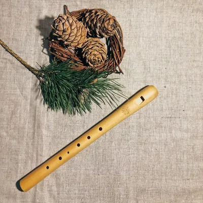 Свирель C (До) дудка, флейта, блок-флейта, recorder – купить на Ярмарке  Мастеров – 8V77DRU | Флейты, Абакан