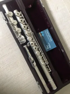 Muramatsu DS Флейта Флейта B Foot Trill Split Великолепный Спектакль  Музыкальный Инструмент Медный Наветренный Флейт От 32 283 руб. | DHgate