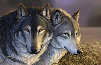 Совершенно другая притча про двух волков (чироки) | Пикабу