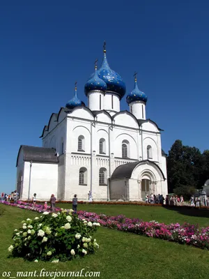 Павел Лукницкий. Ленинград действует. Том 2