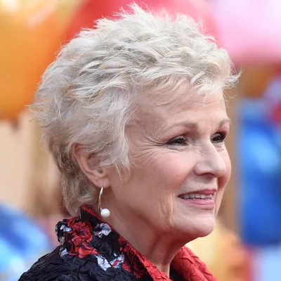 https://www.hellomagazine.com/healthandbeauty/health-and-fitness/20230301165598/julie-walters-ill-health-truelove/