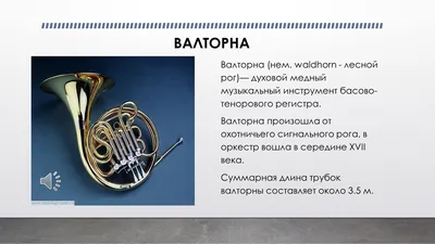 Эфониум Музыкальный инструмент фото