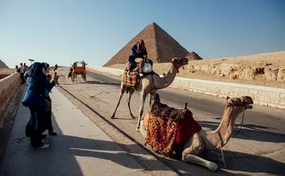 Туроператоры оценили сроки возобновления полетов в Египет — РБК