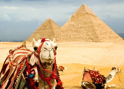 Туры на выходные в Египет в 2023 году