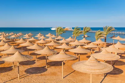 Пляжный отдых в Египте — Тонкости туризма
