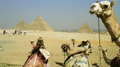 Дешевый Египет возвращается! Сколько стоят туры в страну пирамид - РИА  Новости, 27.01.2021