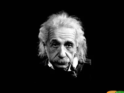 Эйнштейн фотографии