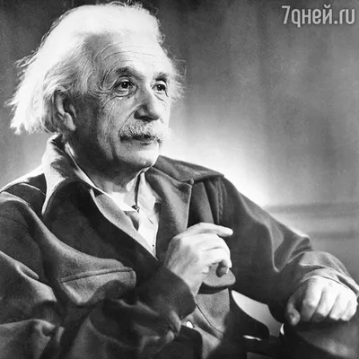 Альберт Эйнштейн: за что ученый ненавидел отца и почему женился на  некрасивой женщине - 7Дней.ру