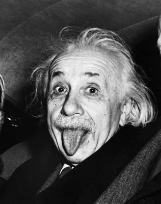 Печать картин Эйнштейн показывает язык со знаменитостями №24338 на заказ |  Walldeco
