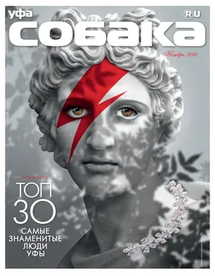 Sobaka november 2016 by Allen Enikeev - Issuu