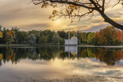 Екатерининский парк осенью - фото и картинки: 59 штук