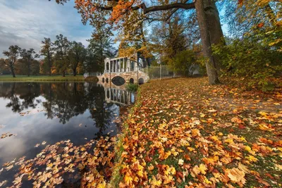 Екатерининский парк осенью (54 фото) - 54 фото