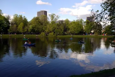 Екатерининский парк. Москва. | Москва, Парк, Природа
